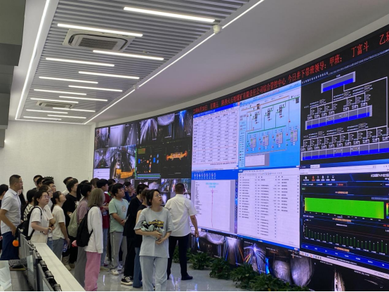 251690274552180788.png 6.png